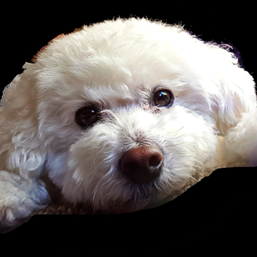 Meet your Posher, Melissa!